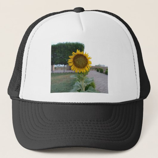 Casquette Tournesol (Devant)
