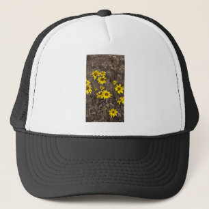 Casquette Tournesol dans la Montagne Rocheuse