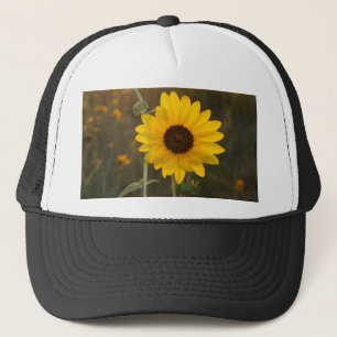 Casquette Tournesol du Kansas