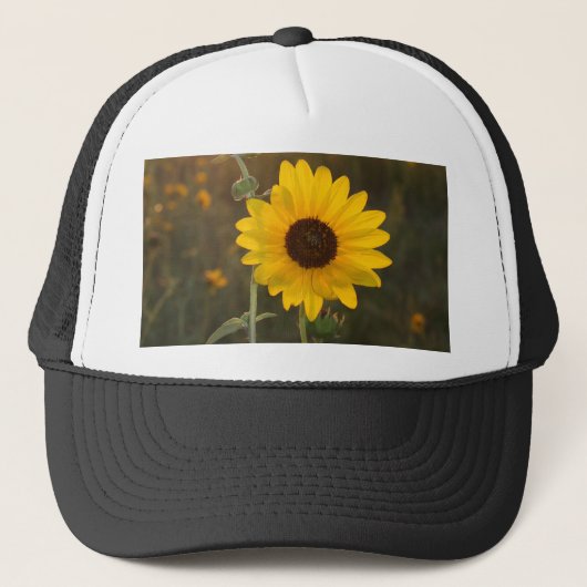 Casquette Tournesol du Kansas (Devant)