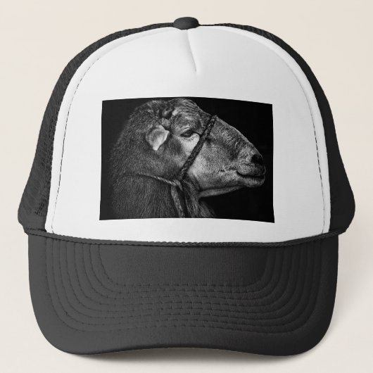 Casquette tout de suite (Devant)