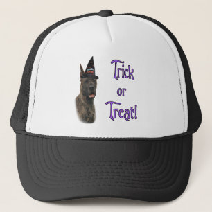 Casquette Trick Great Dane (broche)