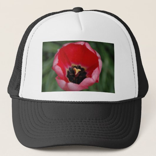 Casquette Tulip (Devant)