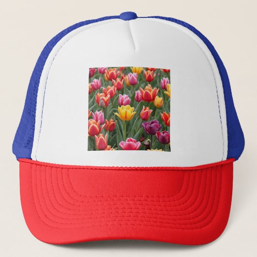 Casquette Tulipes néerlandaises (Devant)