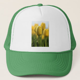 Casquette Tulipes solaires