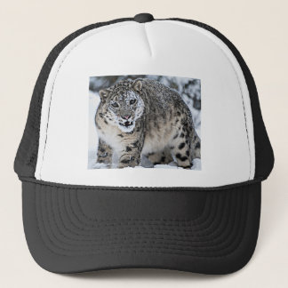 Casquette Un léopard de neige fâché