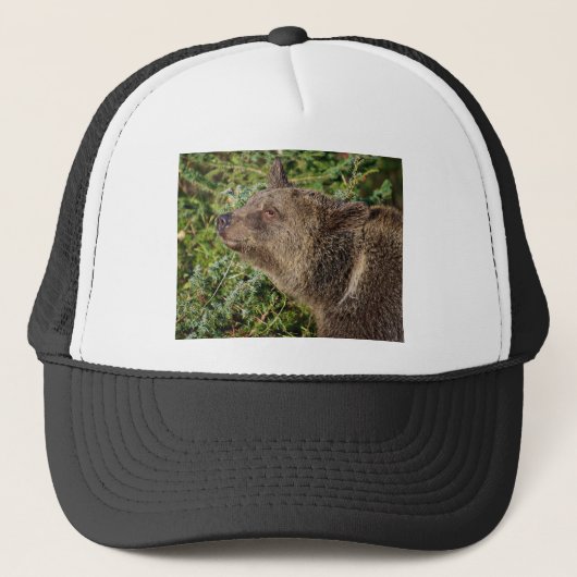 Casquette Un ours gris de sourire (Devant)