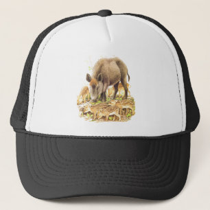 Casquette Un sanglier et