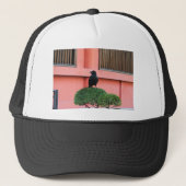 Casquette Une Jungle À Gros Billages Croque Une Perche Sur U (Devant)