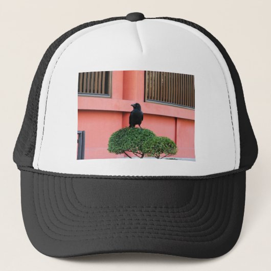 Casquette Une Jungle À Gros Billages Croque Une Perche Sur U (Devant)