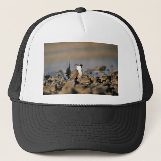 Casquette Une plus grande grouse sage (Devant)