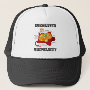 Casquette Université d'eucaryote (cellule animale)