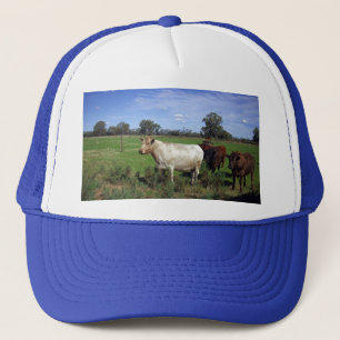 Casquette Vache Blanche Menant Le Troupeau,