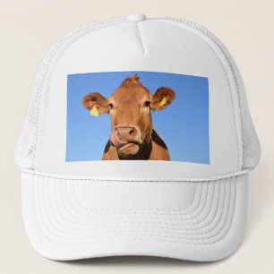 Casquette Vache du Jersey léchant son nez