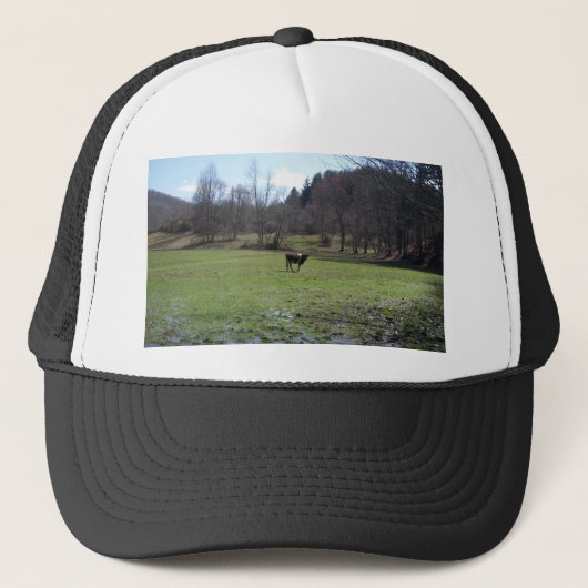 Casquette Vache solitaire (Devant)