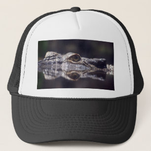 Casquette Venir de crocodile