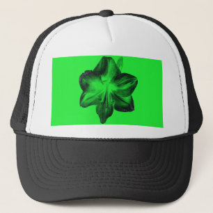 Casquette Vert foncé sur vert clair Amaryllis