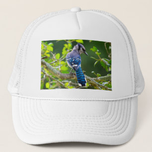 Casquette Vêtements Cadeaux de Photographie de Nature Geai B