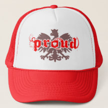 vêtements de polissage