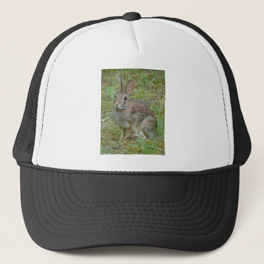 Casquette Vêtements et cadeaux de coton de l'Est du lapin sa (Devant)