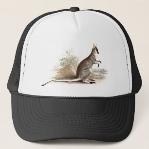 Casquette Vieux wallaby de 1800s de kangourou vintage de