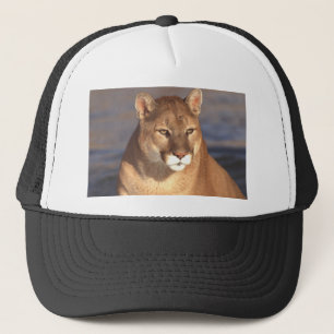Casquette Visage de puma