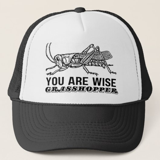CASQUETTE VOUS ÊTES SAGE GRASSHOPPER (Devant)