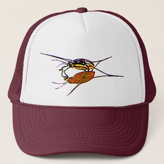 Casquette Water Strier voit son ombre (Devant)