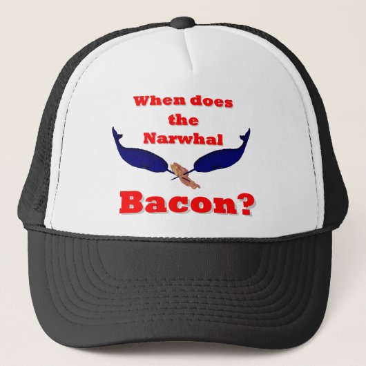 Casquette When does the Narwhal bacon? (Devant)