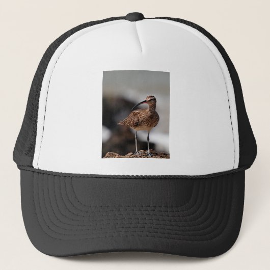 Casquette Whimbrel (Devant)