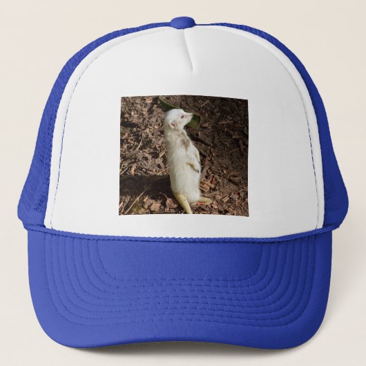 Casquette White Meerkat Standing, (Devant)