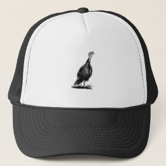 Casquette Wild Turkey