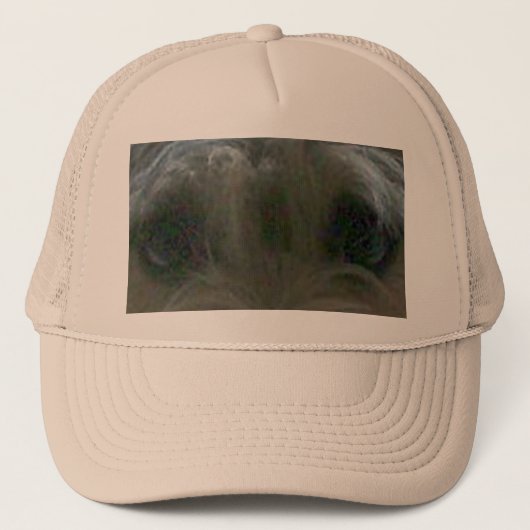 Casquette yeux cairn terrier (Devant)