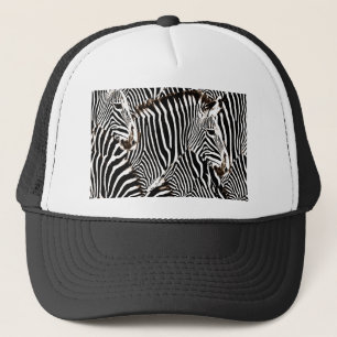 Casquette Zebras love_