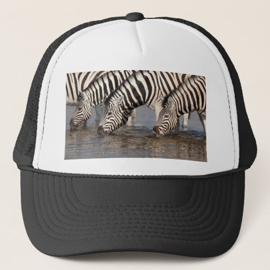Casquette Zèbres boire (Devant)