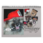 Casquettes Broadways pour le calendrier de Secourt (Protection)