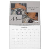 Casquettes Broadways pour le calendrier de Secourt (Mar 2027)
