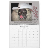 Casquettes Broadways pour le calendrier de Secourt (Feb 2027)