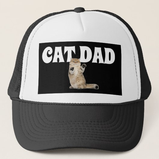 CASQUETTES CASQUETTES de CAT DAD BALL (Devant)
