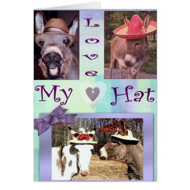 Casquettes d'âne (Devant)