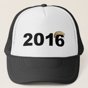 Casquettes des cheveux 2016 d'atout