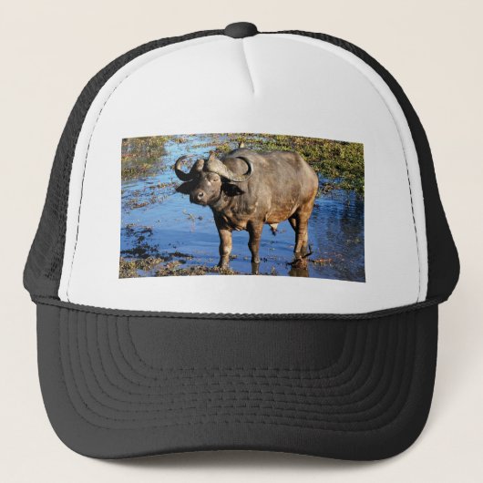 Casquettes et casquettes de safari de Buffalo de (Devant)