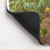 Cassave kweek muismat (Hoek)