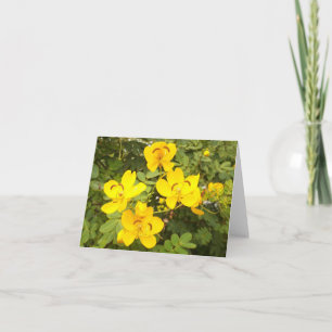 Cassia Flower Photo Folded Note Kaart
