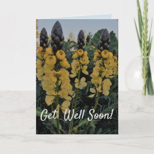 CASSIA GET WELL CARD - JOURNEY FOR A CURE KAART