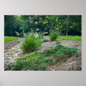 Cassian Fountain Grass & Juniper, Poster (Voorkant)