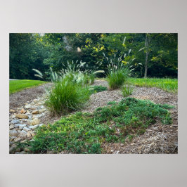 Cassian Fountain Grass & Juniper, Poster