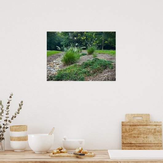 Cassian Fountain Grass & Juniper, Poster (Keuken)