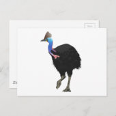 Cassowary Bird Briefkaart (Voorkant / Achterkant)