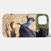 Cassowary Bird Eating Melons, iPhone 13 Coque (Verso (horizontal))